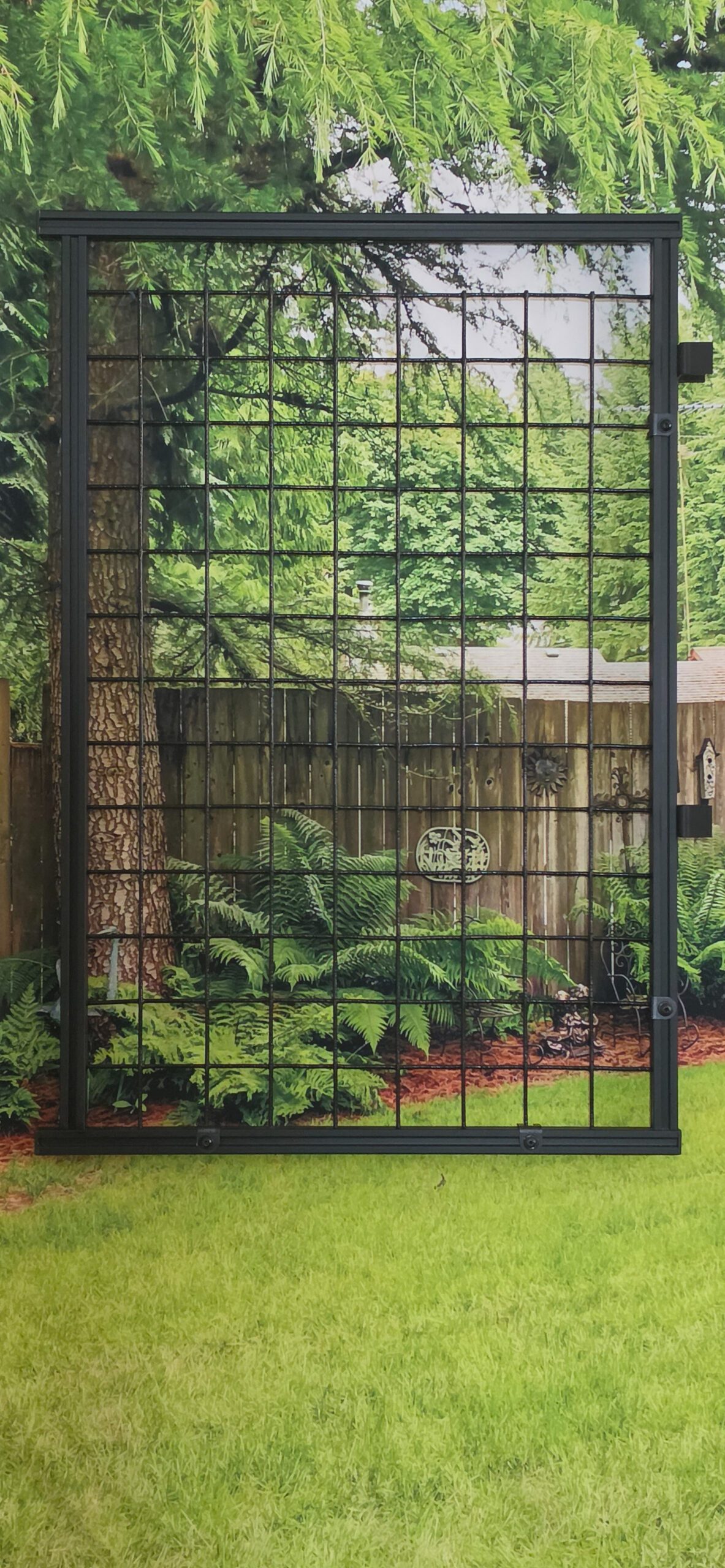 Black metal grid frame in backyard garden